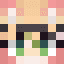 Skin Minecraft de drissandco