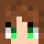 Skin Minecraft de evengelie19